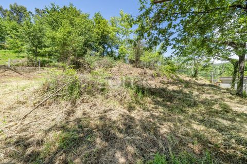 Villa i Vade, Braga, Vade - € 180.000 | Ref: ZMPT577075 - foto 20