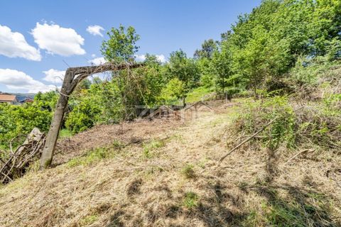 Villa i Vade, Braga, Vade - € 180.000 | Ref: ZMPT577075 - foto 21