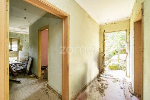 Villa i Vade, Braga, Vade - € 180.000 | Ref: ZMPT577075 - foto 23