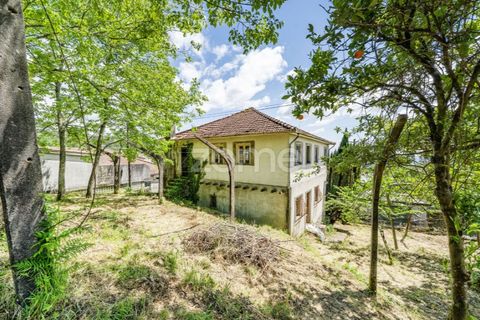 Villa i Vade, Braga, Vade - € 180.000 | Ref: ZMPT577075 - foto 10