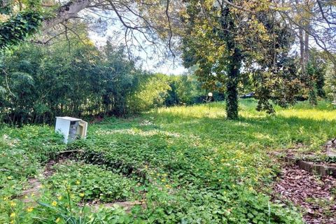 Villa i Nepi, Viterbo, Nepi - € 53.000 | Ref: 2515033 - foto 18