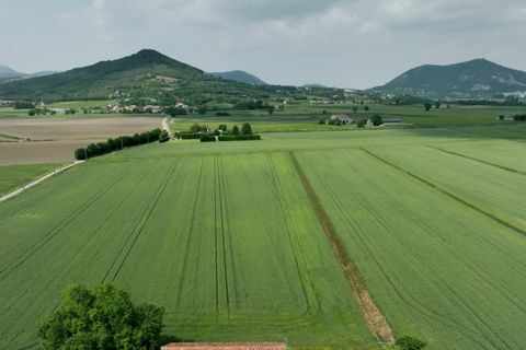 Terra a Baone, Padua, Baone - € 620.000 | Ref: TER 278 - foto 2
