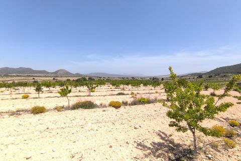 Helårsgrund i Monovar, Alicante, Monovar - € 44.900 | Ref: 70047 - foto 1