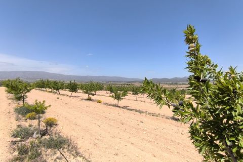 Helårsgrund i Monovar, Alicante, Monovar - € 44.900 | Ref: 70047 - foto 2