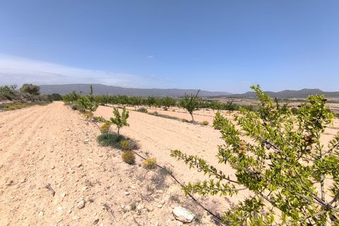 Helårsgrund i Monovar, Alicante, Monovar - € 44.900 | Ref: 70047 - foto 3