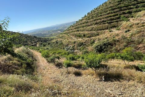 Farm hus i Longroiva, Guarda, Longroiva - € 450.000 | Ref: TAPT01-1364_RC_DP - foto 1