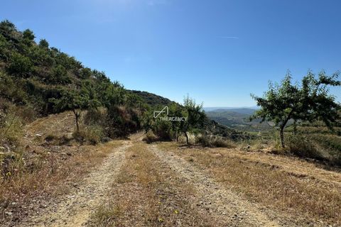 Farm hus i Longroiva, Guarda, Longroiva - € 450.000 | Ref: TAPT01-1364_RC_DP - foto 5