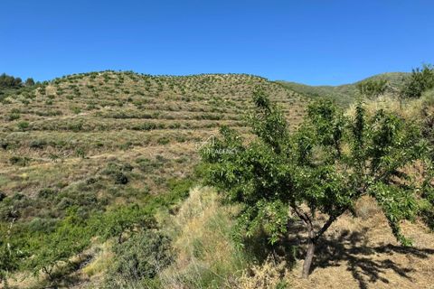 Farm hus i Longroiva, Guarda, Longroiva - € 450.000 | Ref: TAPT01-1364_RC_DP - foto 2