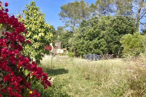 Cortijo i Buger, Mallorca, Buger - € 590.000 | Ref: F-112 - foto 17