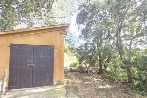 Cortijo i Buger, Mallorca, Buger - € 590.000 | Ref: F-112 - foto 28