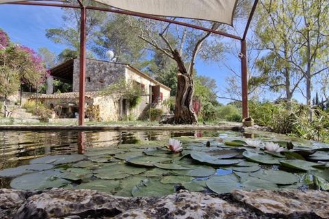 Cortijo i Buger, Mallorca, Buger - € 590.000 | Ref: F-112 - foto 38