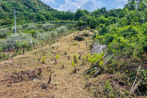 Villa i Mistretta, Messina, Mistretta - € 75.000 | Ref: Casa Mariolina - Mistretta - foto 24