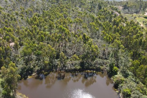 Helårsgrund i Monchique, Faro, Monchique - € 75.000 | Ref: C0369-00752 - foto 2