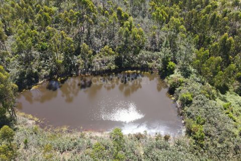 Helårsgrund i Monchique, Faro, Monchique - € 75.000 | Ref: C0369-00752 - foto 4