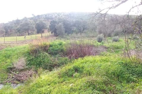 Helårsgrund i Monchique, Faro, Monchique - € 30.000 | Ref: C0369-00753 - foto 2