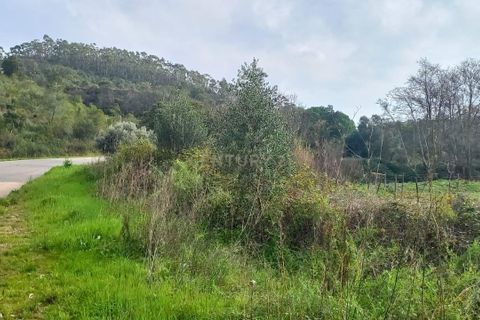 Helårsgrund i Monchique, Faro, Monchique - € 30.000 | Ref: C0369-00753 - foto 4