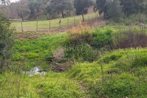 Helårsgrund i Monchique, Faro, Monchique - € 30.000 | Ref: C0369-00753 - foto 7