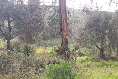 Helårsgrund i Monchique, Faro, Monchique - € 30.000 | Ref: C0369-00753 - foto 9