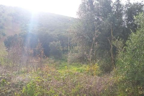 Helårsgrund i Monchique, Faro, Monchique - € 30.000 | Ref: C0369-00753 - foto 13