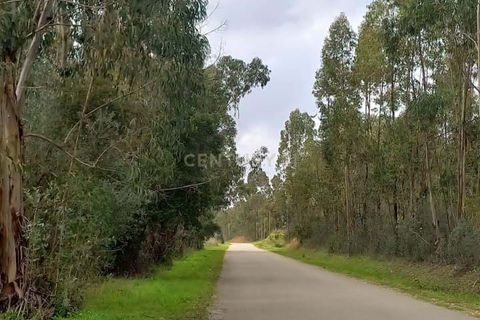 Helårsgrund i Monchique, Faro, Monchique - € 30.000 | Ref: C0369-00753 - foto 16