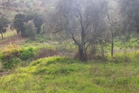 Helårsgrund i Monchique, Faro, Monchique - € 30.000 | Ref: C0369-00753 - foto 18