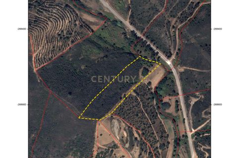 Helårsgrund i Monchique, Faro, Monchique - € 30.000 | Ref: C0369-00753 - foto 26