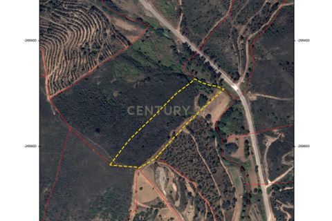 Helårsgrund i Monchique, Faro, Monchique - € 30.000 | Ref: C0369-00753 - foto 27