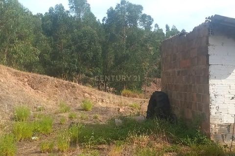 Villa i Monchique, Faro, Monchique - € 265.000 | Ref: C0369-00748 - foto 6