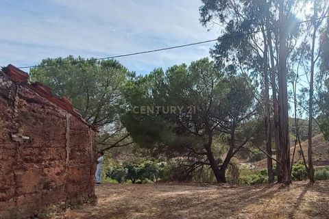 Villa i Monchique, Faro, Monchique - € 265.000 | Ref: C0369-00748 - foto 8