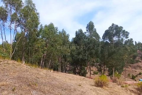 Villa i Monchique, Faro, Monchique - € 265.000 | Ref: C0369-00748 - foto 12