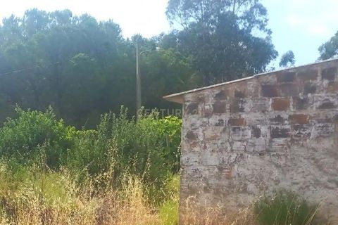 Villa i Monchique, Faro, Monchique - € 265.000 | Ref: C0369-00748 - foto 15