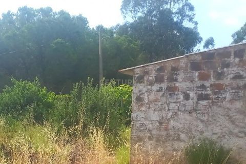 Villa i Monchique, Faro, Monchique - € 265.000 | Ref: C0369-00748 - foto 16