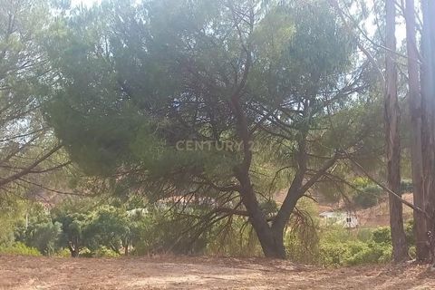Villa i Monchique, Faro, Monchique - € 265.000 | Ref: C0369-00748 - foto 19