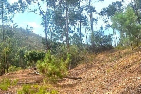 Villa i Monchique, Faro, Monchique - € 265.000 | Ref: C0369-00748 - foto 22