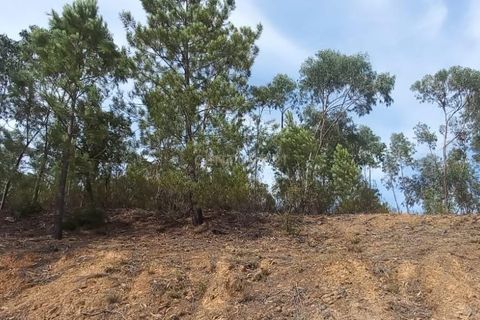 Villa i Monchique, Faro, Monchique - € 265.000 | Ref: C0369-00748 - foto 23