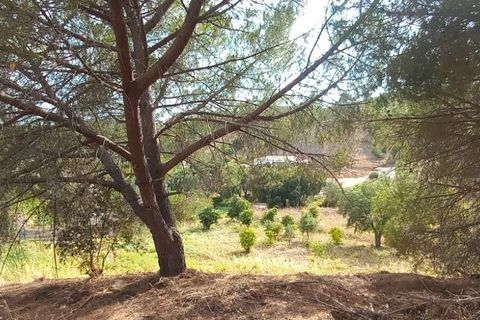 Villa i Monchique, Faro, Monchique - € 265.000 | Ref: C0369-00748 - foto 28