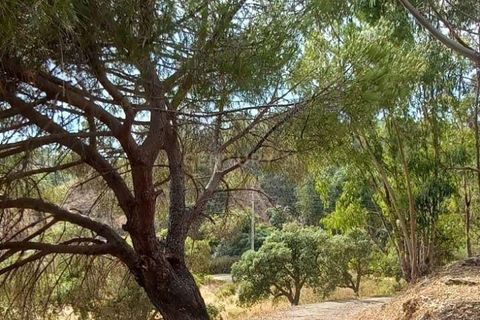 Villa i Monchique, Faro, Monchique - € 265.000 | Ref: C0369-00748 - foto 29