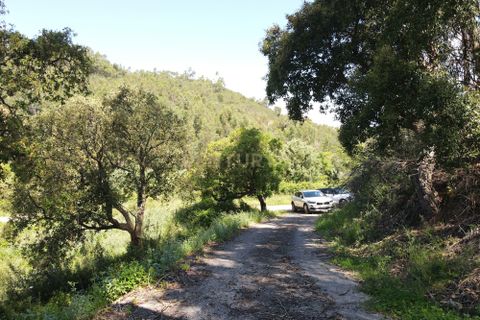 Villa i Monchique, Faro, Monchique - € 265.000 | Ref: C0369-00748 - foto 32
