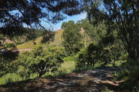 Villa i Monchique, Faro, Monchique - € 265.000 | Ref: C0369-00748 - foto 34