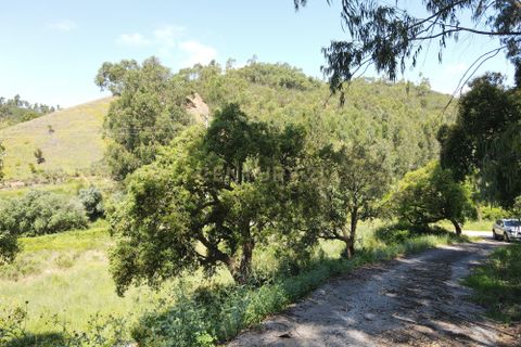 Villa i Monchique, Faro, Monchique - € 265.000 | Ref: C0369-00748 - foto 37