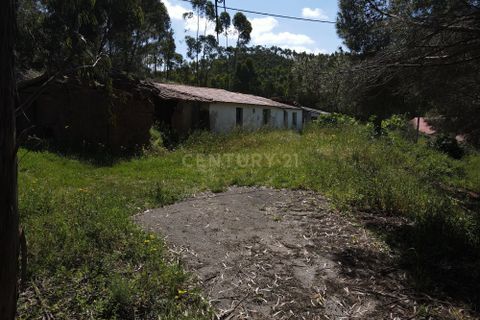 Villa i Monchique, Faro, Monchique - € 265.000 | Ref: C0369-00748 - foto 45
