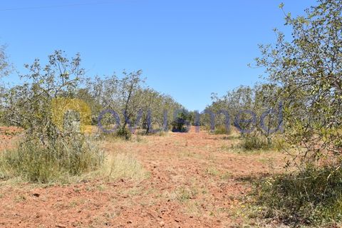 Helårsgrund i Paderne, Faro, Paderne - € 48.000 | Ref: TE-05 (PR-079) - foto 2