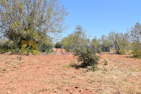 Helårsgrund i Paderne, Faro, Paderne - € 48.000 | Ref: TE-05 (PR-079) - foto 3