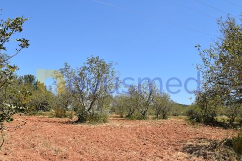 Helårsgrund i Paderne, Faro, Paderne - € 48.000 | Ref: TE-05 (PR-079) - foto 1