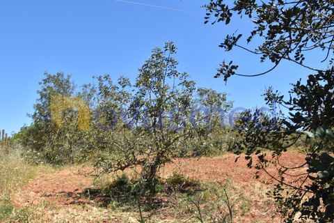 Helårsgrund i Paderne, Faro, Paderne - € 48.000 | Ref: TE-05 (PR-079) - foto 7