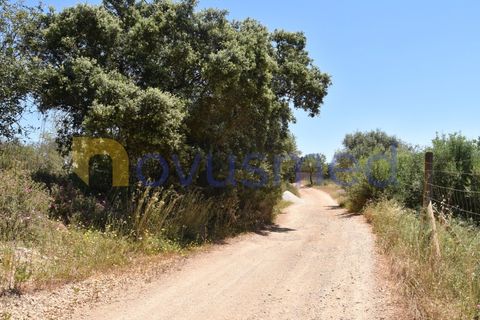 Helårsgrund i Paderne, Faro, Paderne - € 48.000 | Ref: TE-05 (PR-079) - foto 10