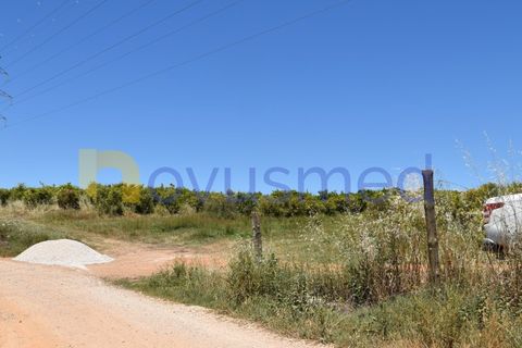 Helårsgrund i Paderne, Faro, Paderne - € 48.000 | Ref: TE-05 (PR-079) - foto 11