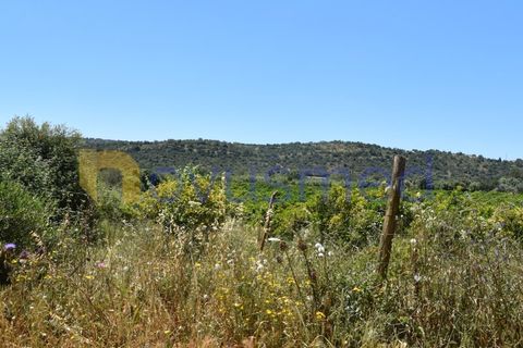 Helårsgrund i Paderne, Faro, Paderne - € 48.000 | Ref: TE-05 (PR-079) - foto 12