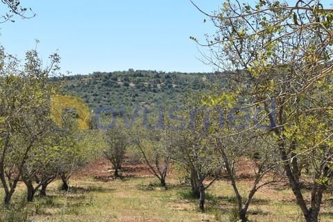 Helårsgrund i Paderne, Faro, Paderne - € 48.000 | Ref: TE-05 (PR-079) - foto 13