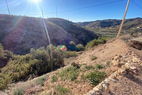 Landejendom i Albox, Almeria, Albox - € 65.000 | Ref: 2762 - foto 27